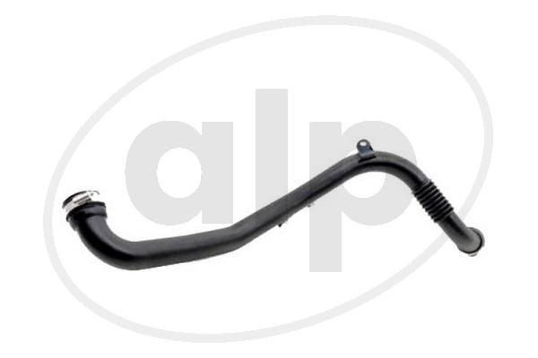 ALP-006156