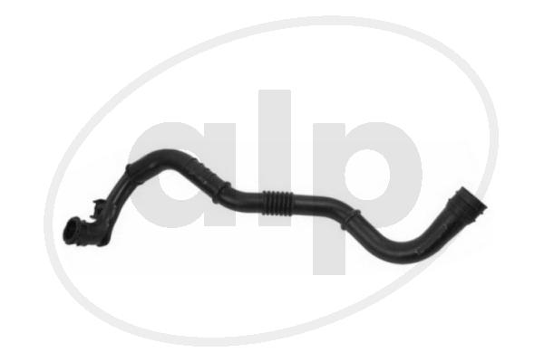 ALP-006121