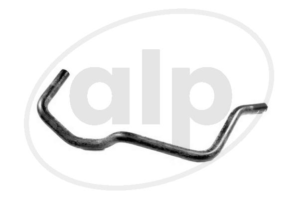 ALP-005666