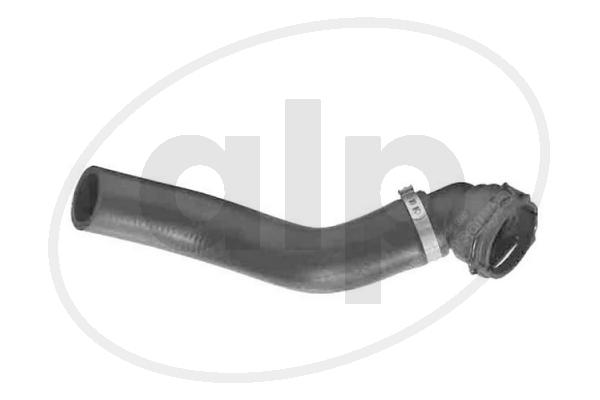ALP-005651