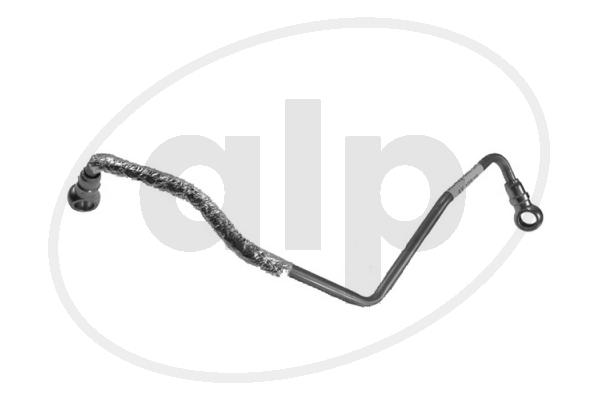 ALP-004824