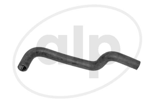 ALP-003810