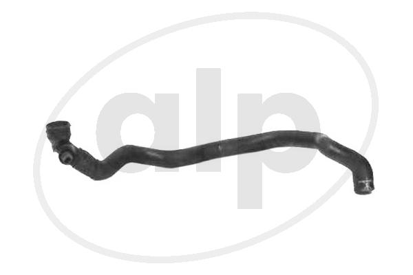 ALP-004484