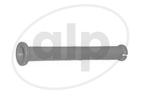 ALP-001910