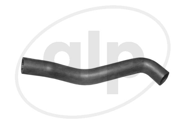 ALP-002494