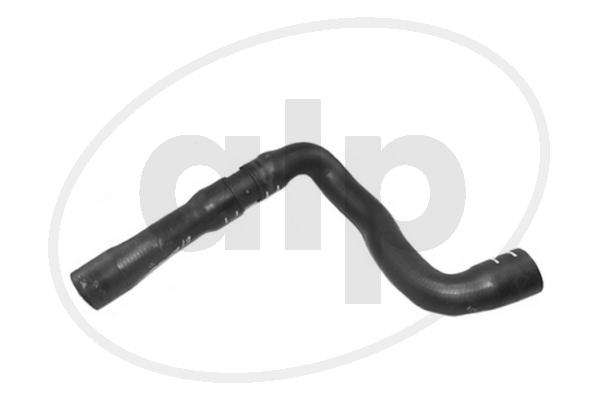 ALP-007206