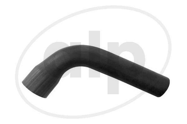ALP-007080