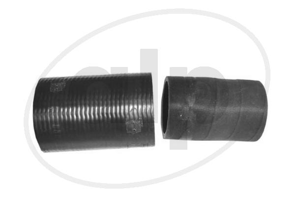 ALP-007038