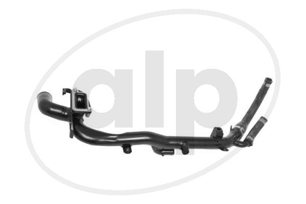 ALP-004885
