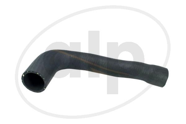 ALP-007187