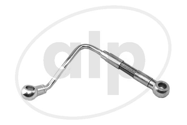 ALP-004872
