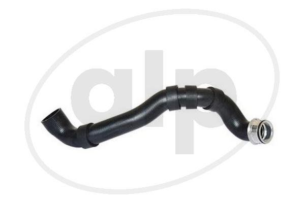 ALP-007177
