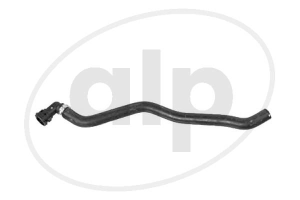 ALP-004360