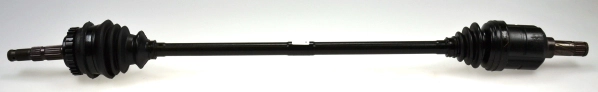 304401