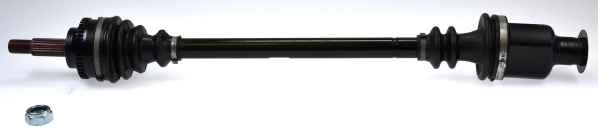 303615