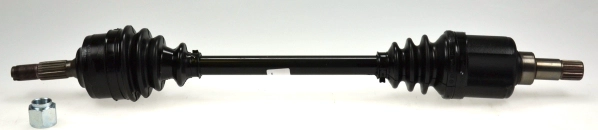 304586