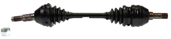 304906