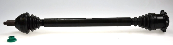 304446
