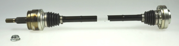304546