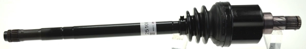 305331