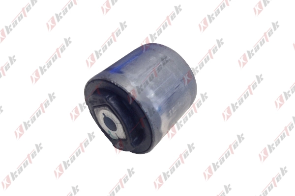 CH-BS025