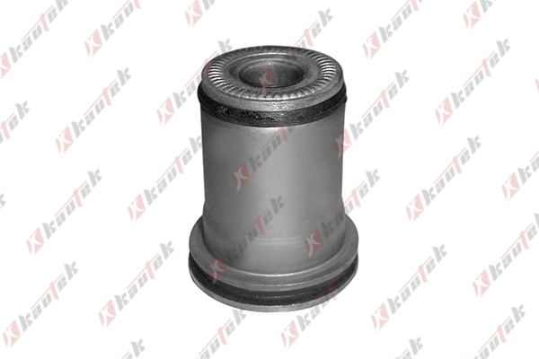 HY-BS029