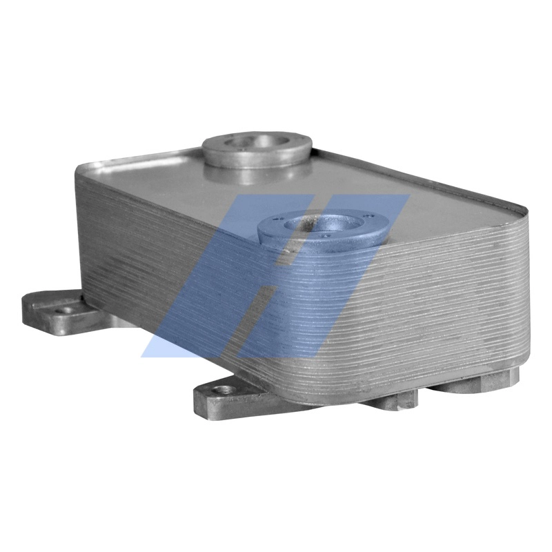 31033007