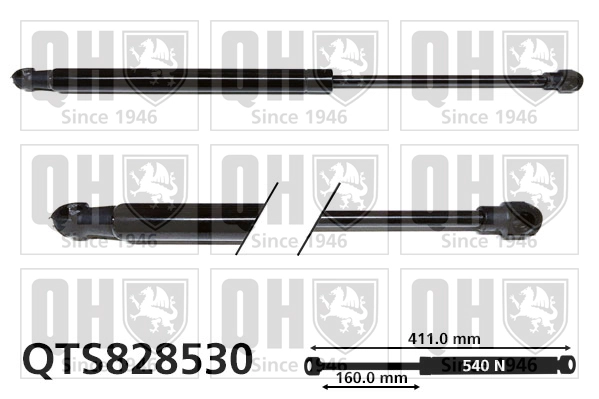 QTS828530