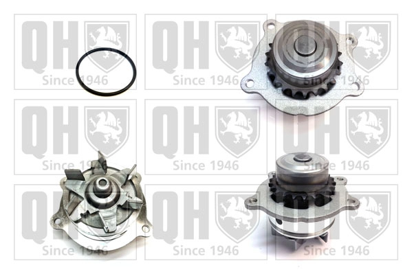 QCP3797