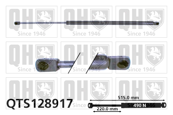 QTS128917