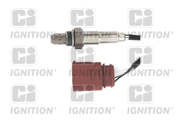 XLOS1229