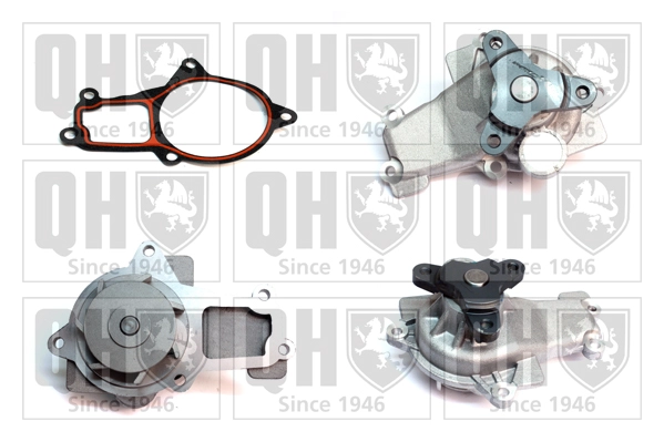 QCP3877