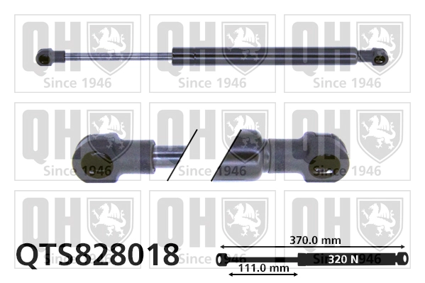 QTS828018