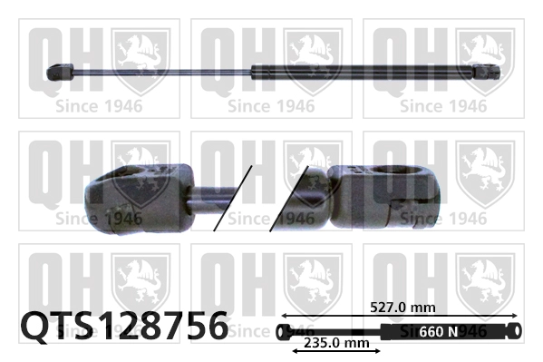 QTS128756