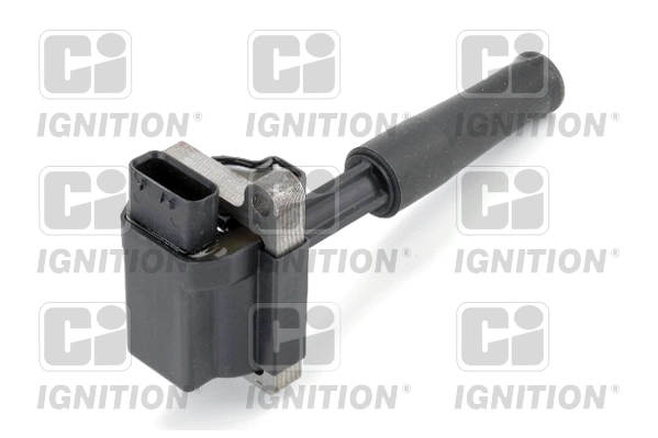 XIC8446