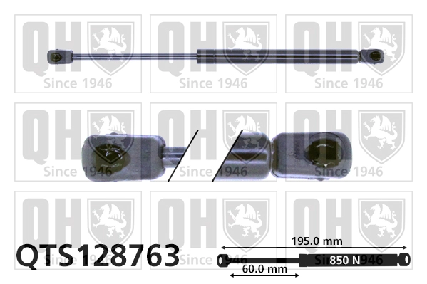 QTS128763