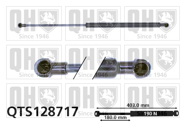 QTS128717