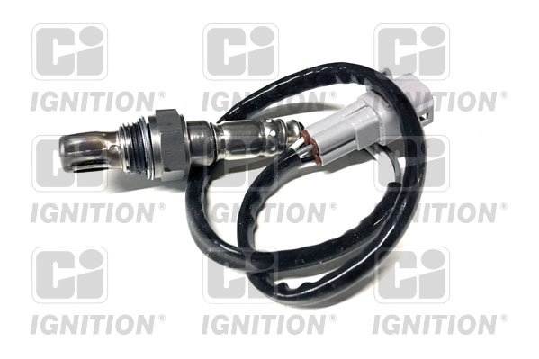 XLOS1706