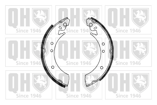 BS509