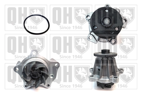 QCP2887