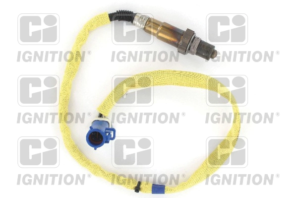 XLOS1705