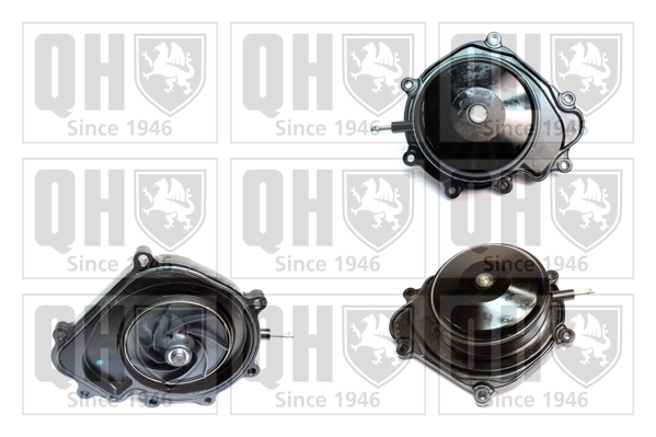 QCP3799
