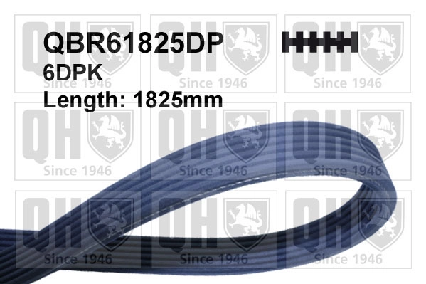 QBR61825DP