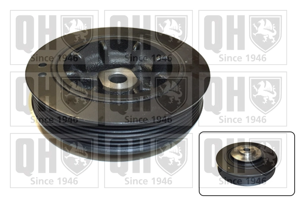 QCD56