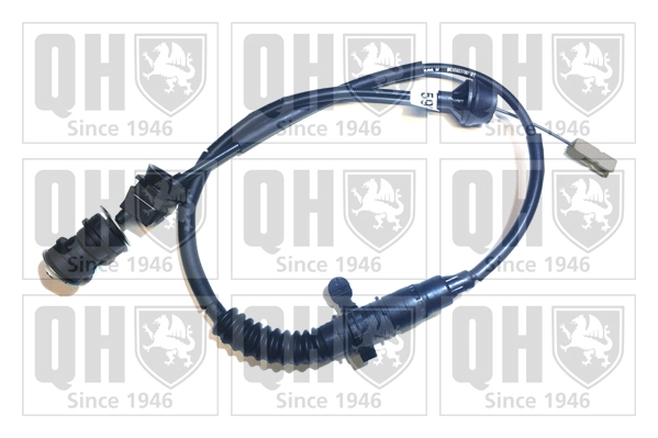 QCC1595