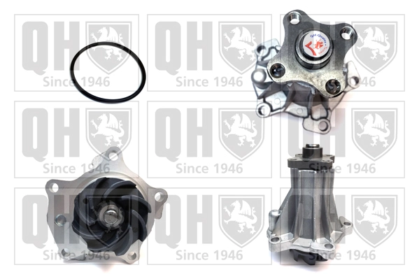 QCP2934