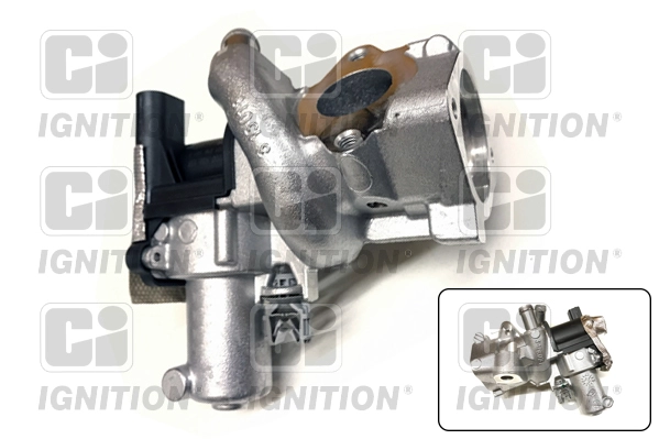 XEGR94