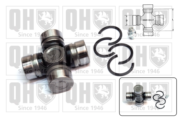 QL500