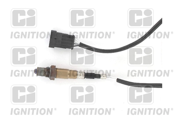 XLOS1107