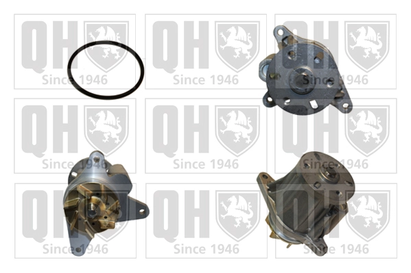 QCP3786